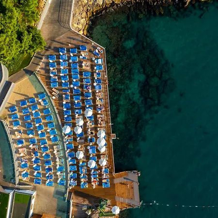 A Good Life Utopia Family