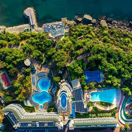 A Good Life Utopia Family アランヤ